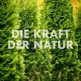 Green Spirit Thuja C30 Scatter Balls - Storage Pack of 10 g