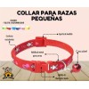 Collar Perros Y Gatos Ajustable Raza Pequeña Kit 6 Piezas