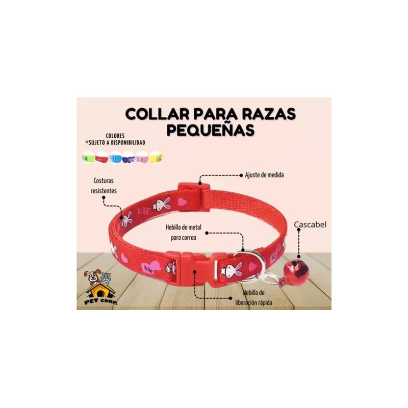 Collar Perros Y Gatos Ajustable Raza Pequeña Kit 6 Piezas