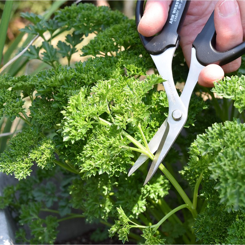 CANARY Japanese Garden Scissors Heavy Duty Offset Trimming Snips for