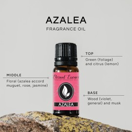 Azalea Premium Grade Fragrance Oil - Scented Oil - (10ml)