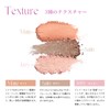Shine You Eye Shadow Palette: Hulun Flynn Thai Cosmetics, 9