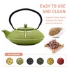 Cast Iron Teapot,SECHUDO Tea Kettle Coated with Enameled Interior for