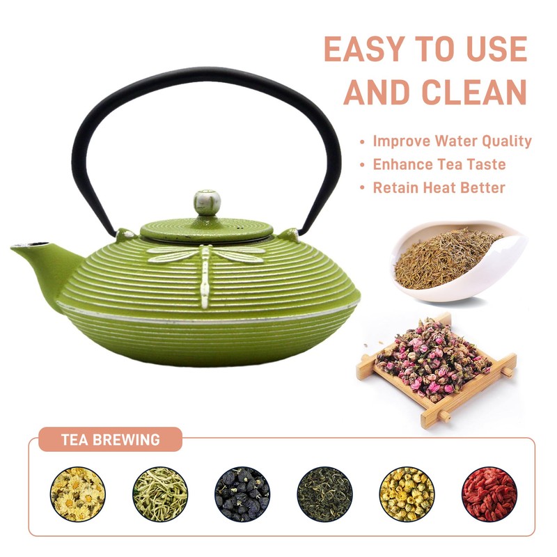 Cast Iron Teapot,SECHUDO Tea Kettle Coated with Enameled Interior for