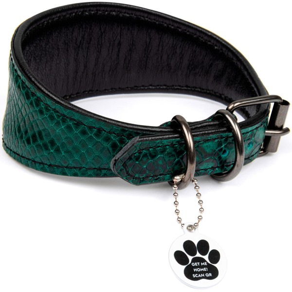 FAVPET Luxury Genuine Leather Greyhound Collar Wide with QR Code