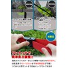REVOR (リボル) Rust-Resistant Small Riverbank Tarp Extension Belt, One-Touch, Load