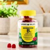 Spring Valley B12 5000 mcg-Vitamin Gummies Ultra Strength Methylcobalamin, 60ct