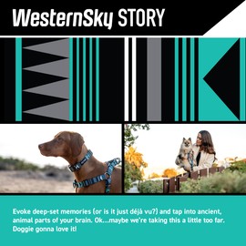 Wolfgang Heavy Duty, Adjustable Dog Collar with Quick Release Nylon Buckle for Walking & Training, WesternSky Print, Small