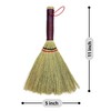 Small Wisk Brush Broom -Whisk Broom Handheld Brush Whisks Away