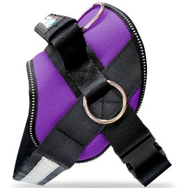 Joyride Basic Essential Dog Harness 1.0 - Small, Medium, Large Dogs, No-Pull Pet Vest with 3 Side Rings for Leash Placement, Adjustable for Training (Purple Majesty, 2XL)