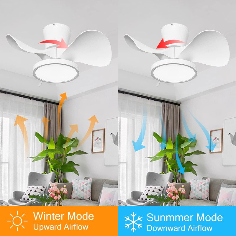 ocioc Quiet Ceiling Fan with LED Light 22 inch Large