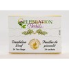 Celebration Herbals Dandelion Leaf Tea Bags 24 Count