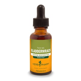 Herb Pharm Bladderwrack Liquid Extract - 1 Ounce (DBLADD01)