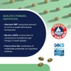 Omegor Mind Omega 3 e 6 con Bacopa Monnieri -