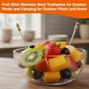 2 Pcs Titanium Alloy Toothpicks, Portable Toothpicks, Titanium Toothpicks Toothpick