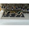 Bose 901 Active Equalizer RCA Jack Panel new. 8 jack