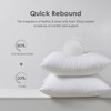 TOPGREEN Feather Throw Pillow Inserts 2 Pack | 20 x