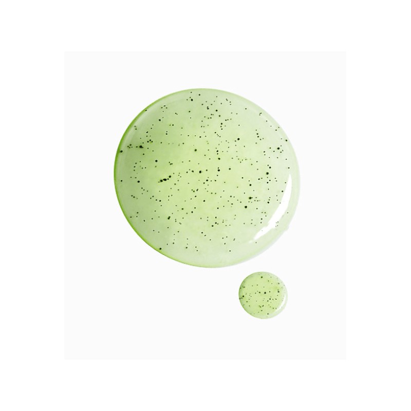 PAYOT PATE GRISE Purifying Foaming Gel Cleanser 200ml