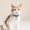 Pawaii Silent Silicone Dog ID Tag, Modifiable Pet Online Profile