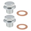 Briny River 2 Pcs M14 x 1.5mm Magnetic Drain Plug