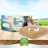 Small Pet Select - Chicken Nesting Pads (8-Pack), 13x13, for