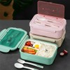 PchLight Bento Box, Antibacterial, Bento Box, Approx. 7.9 x 5.2