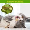 BAWAN Catnip Toys‖ Silvervine for Cats: Cute Cat & Kitten
