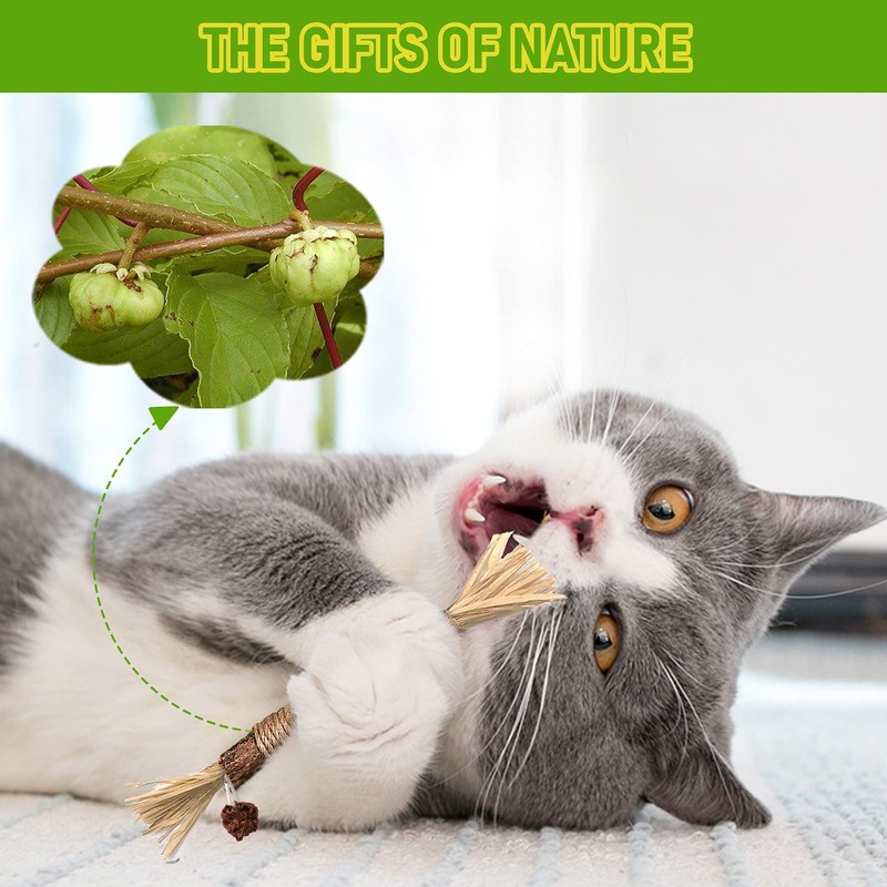BAWAN Catnip Toys‖ Silvervine for Cats: Cute Cat & Kitten