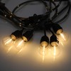 LEONLITE LED Outdoor String Lights 48FT Valentine's Day Decoration, Clear