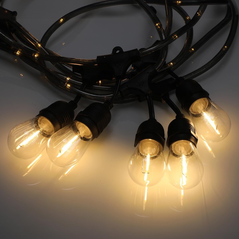 LEONLITE LED Outdoor String Lights 48FT Valentine's Day Decoration, Clear