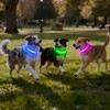VIZPET LED Dog Collar, Light up Dog Collar Adjustable Safety