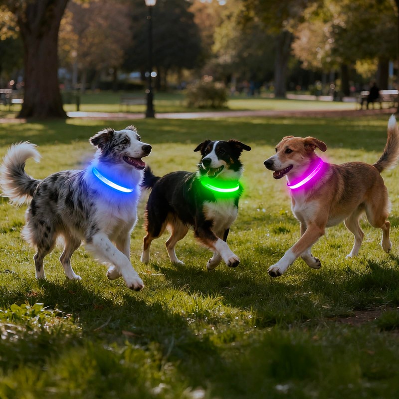 VIZPET LED Dog Collar, Light up Dog Collar Adjustable Safety