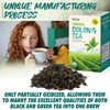 Fusion Select Organic Oolong Tea Bags - Smooth, Mildly Sweet
