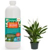 Premium Liquid Peace Lily Plant Fertilizer - 3-1-2 Concentrate for