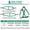 ASOCEA Adjustable Bird Harness Leash,Parrot Harness Leash Pet Anti-bite Training
