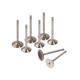 Domestic Gaskets DG-8614979855 Head Gasket Set Intake Exhaust Valves Compatible With/Replacement For 95-02 Volkswagen Golf Jetta 2.0L 8V