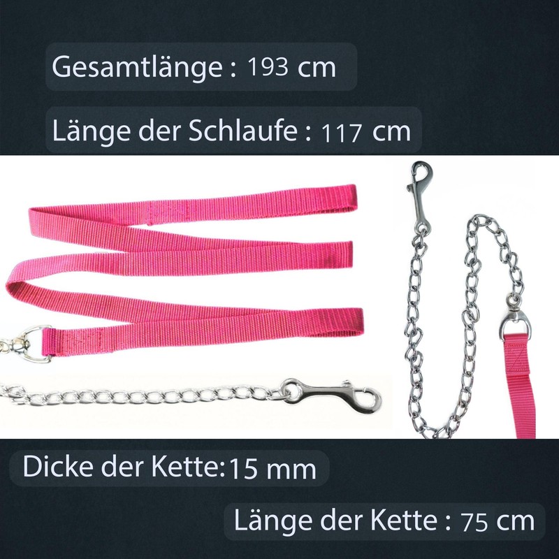 Horses Guide Chain | Safe Guide with Iron Chain &