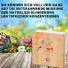 Ayolofei Bird Chirping Motion Sensor Box: Nature Sounds Box Bird