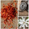 Aromas Para Difusores Profesionales A Base De Aceites 100ml Spa