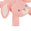 Itzy Ritzy - Ritzy Teether for Molars - Massages Sore