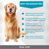 Fecal Loop for Animals, Stool Sample Collection Kit for Dogs,