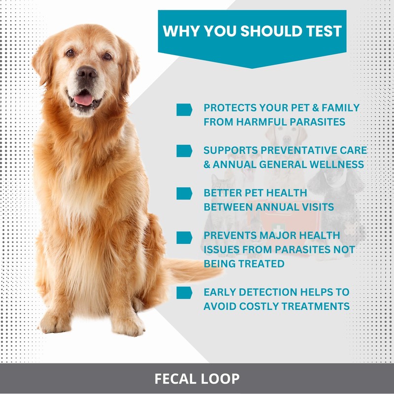 Fecal Loop for Animals, Stool Sample Collection Kit for Dogs,