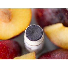 J&L Naturals Tinted Lip Balm | Vegan & Cruelty Free Lip Stain | Zero Waste Makeup | Plastic-Free, Hydrating & Moisturizing Lip Tint | Made in US (Duo (2-Pack), Plum Dream)