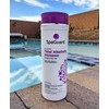 SpaGuard Total Alkalinity Increaser, 2 lb, Prevents pH Bounce, Proven