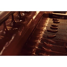 Leonidas Belgian Chocolates: 1 lb Signature Orangettes - Dark Chocolate Covered Orange Peel