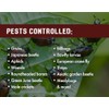 Pro Grub Control – 32oz - Concentrated Imidacloprid (21.4%) Insecticide