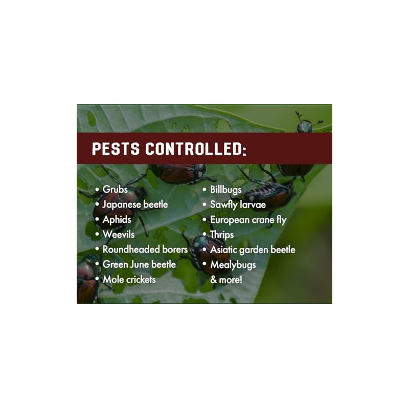 Pro Grub Control – 32oz - Concentrated Imidacloprid (21.4%) Insecticide