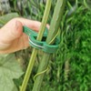Plant Clips Plant Clips for Trellis Tomatoes, Roses, Cucumbers and