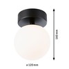 Paulmann 71071 LED Ceiling luminaire Selection Bathroom Gove IP44 3000K