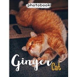 Ginger Cats Photobook: Collection 40 Illustrations Pages for Pets Cat Book for Decoration | Gifts for Birthday, Christmas for Relaxation